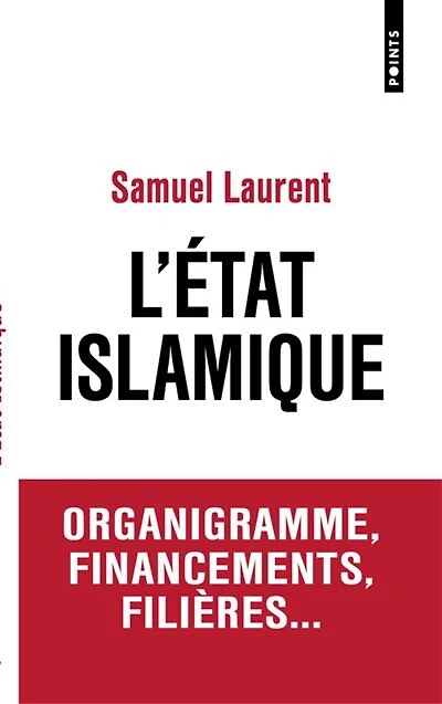 L' Etat islamique: organigramme, financements, filières...
