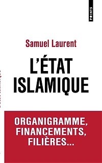 L' Etat islamique: organigramme, financements, filières...