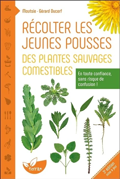 Récolter les jeunes pousses des plantes sauvages comestibles: en toute confiance, sans risque de confusion !