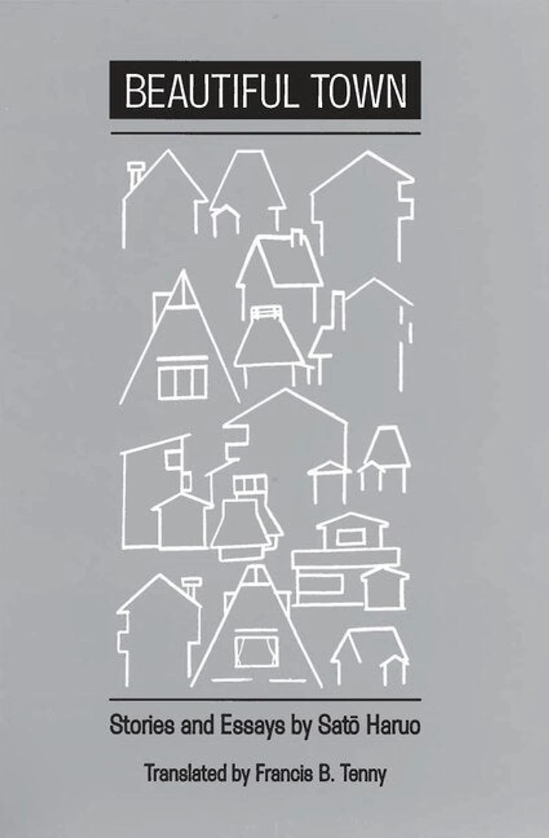 Beautiful Town: Stories And Essays