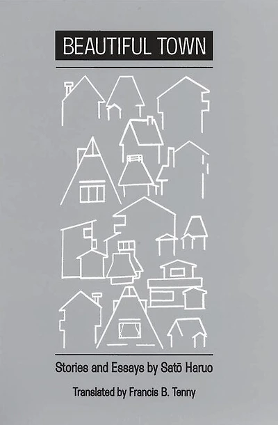 Beautiful Town: Stories And Essays