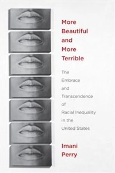 More Beautiful And Terrible: The Embrace Transcendence Of Racial Inequality United States