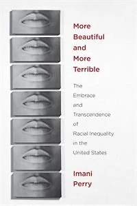 More Beautiful And Terrible: The Embrace Transcendence Of Racial Inequality United States