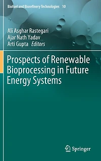 Prospects of Renewable Bioprocessing Future Energy Systems