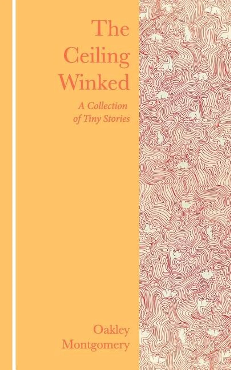The Ceiling Winked: A Collection of Tiny Stories