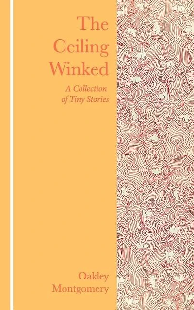 The Ceiling Winked: A Collection of Tiny Stories