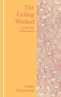 The Ceiling Winked: A Collection of Tiny Stories