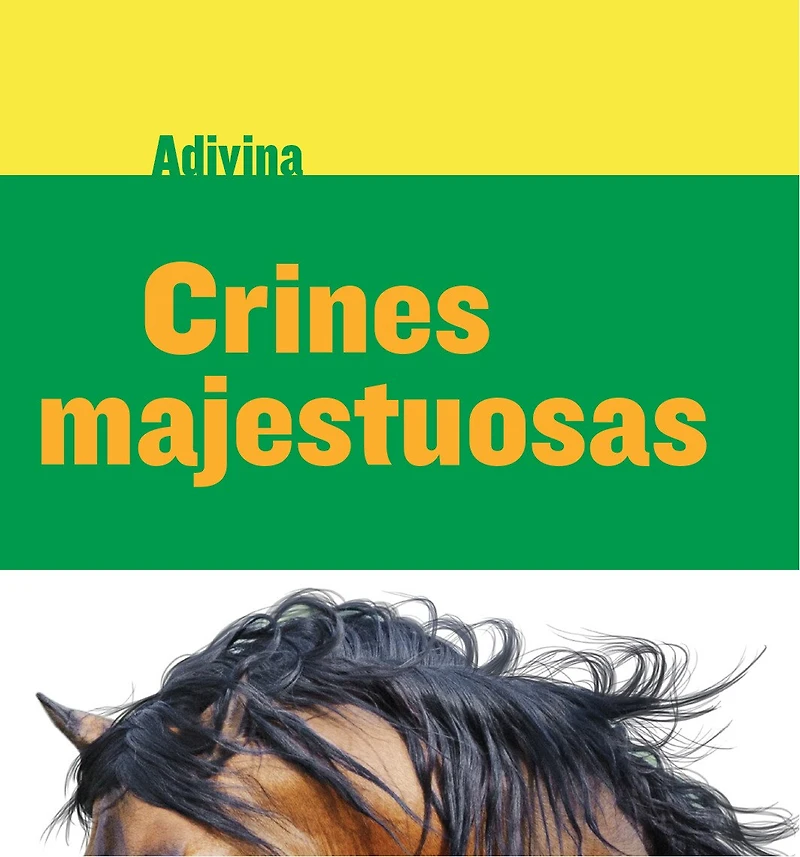 Crines majestuosas (Majestic Manes): Caballo (Horse)