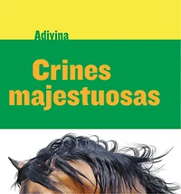 Crines majestuosas (Majestic Manes): Caballo (Horse)