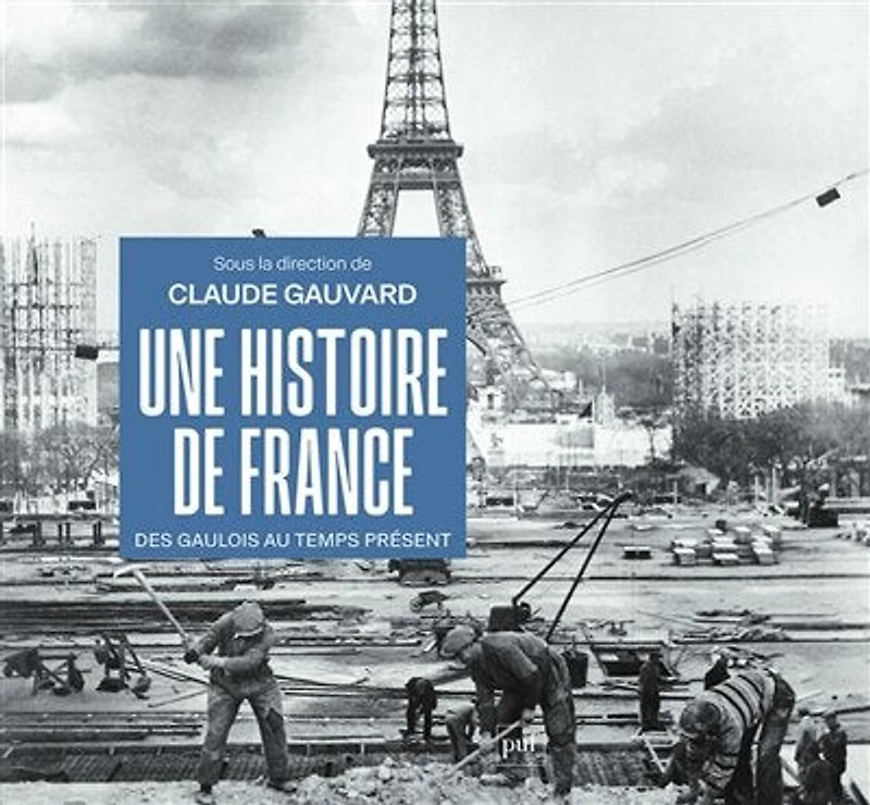Une histoire de France: des Gaulois au temps présent