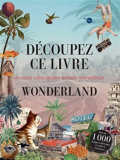 Découpez ce livre: et créez votre propre monde merveilleux