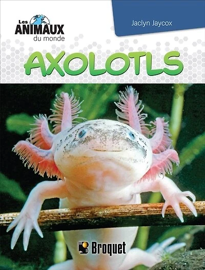 Axolotls