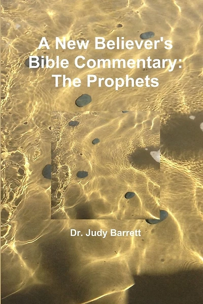 A New Believer's Bible Commentary: The Prophets