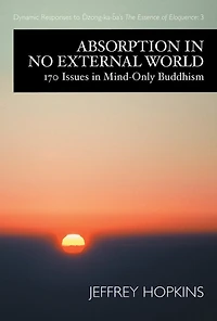 Absorption No External World: 170 Issues Mind-Only Buddhism
