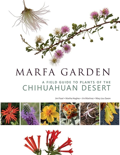 Marfa Garden: A Field Guide to Plants of the Chihuahuan Desert