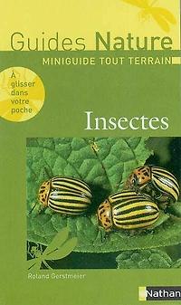 Insectes