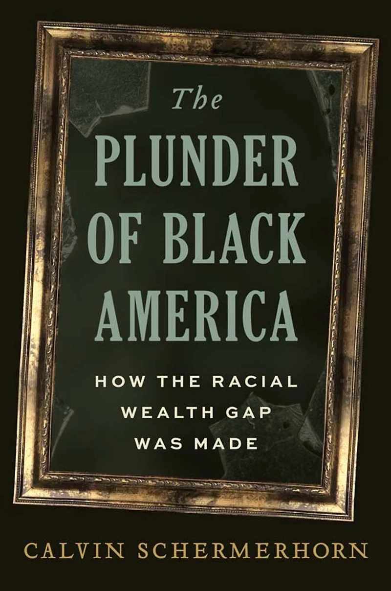 the Plunder of Black America: How Racial Wealth Gap Was Made