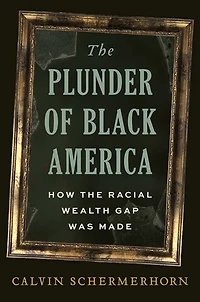 the Plunder of Black America: How Racial Wealth Gap Was Made