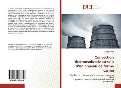 Convection thermosolutale au sein d'un anneau de forme carrée