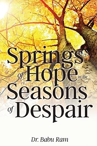 Springs of Hope in the Seasons of Despair