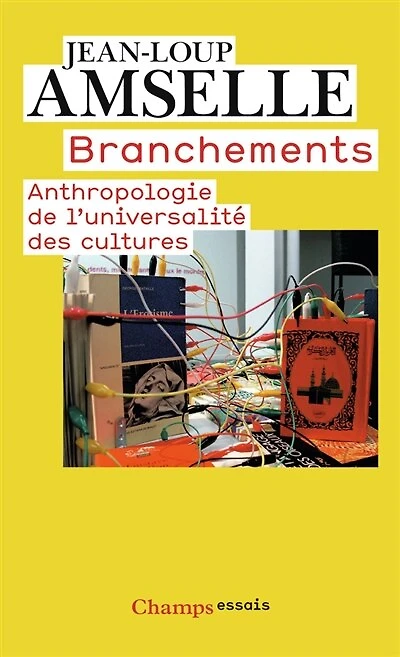 Branchements : anthropologie de l'universalité des cultures: anthropologie de l'universalité des cultures
