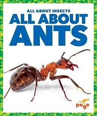 All about Ants