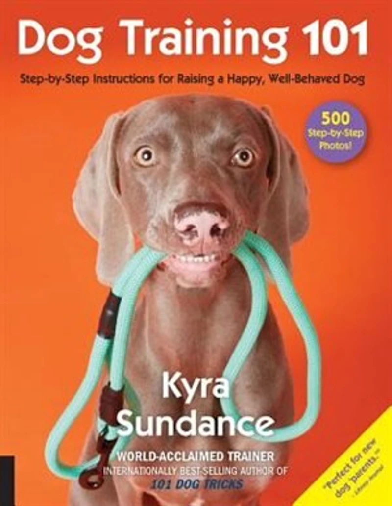 Dog Training 101: Step-by-step Instructions For Raising A Happy Well-behaved