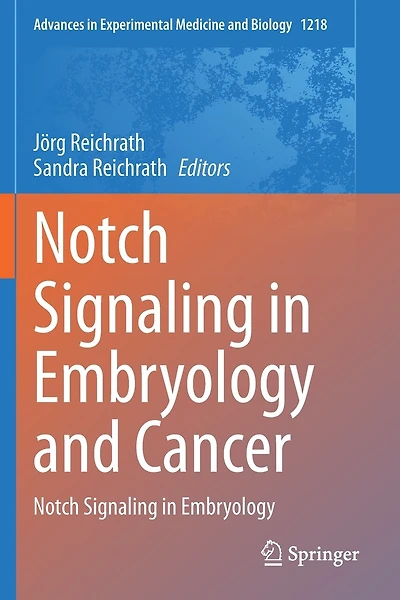 Notch Signaling In Embryology And Cancer