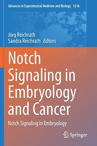 Notch Signaling In Embryology And Cancer
