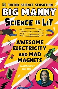 Awesome Electricity and Mad Magnets