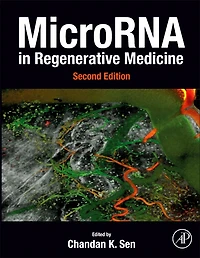 MicroRNA Regenerative Medicine