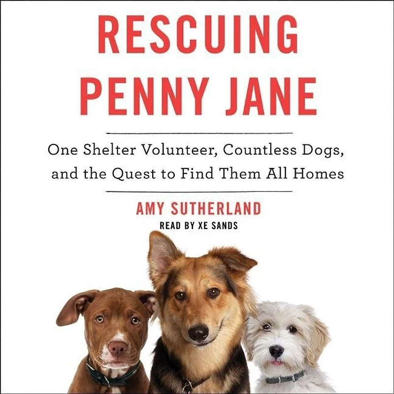 Rescuing Penny Jane: One Shelter Volunteer, Countless Dogs, And The Quest To Find Them All Homes