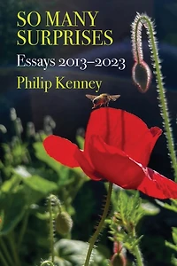 So Many Surprises: Essays 2013-2023