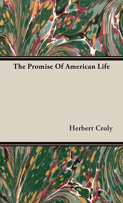 The Promise Of American Life