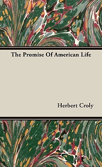 The Promise Of American Life