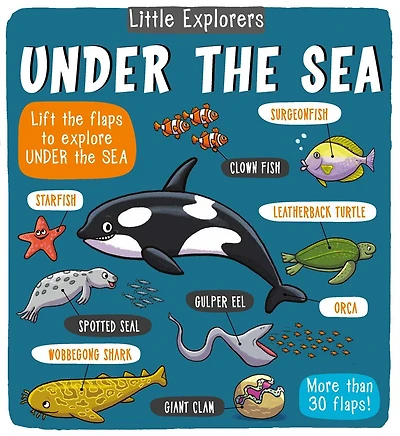 Little Explorers: Under the Sea