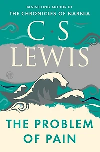 The Problem of Pain