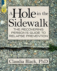 A Hole In The Sidewalk: The Recovering Person's Guide To Relapse Prevention