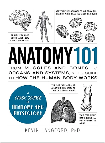 Anatomy 101: From Muscles And Bones To Organs Systems, Your Guide How The Human Body Works
