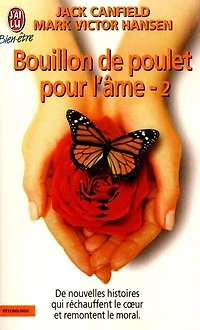 Bouillon de poulet pour l'âme 2: de nouvelles histoires qui réchauffent le coeur et remontent le moral