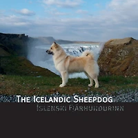 The Icelandic Sheepdog: Islenski Fjarhurdurinn