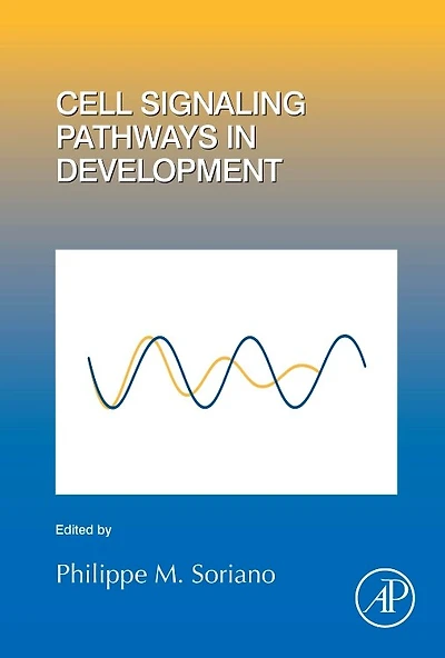 Cell Signaling Pathways Development