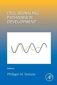Cell Signaling Pathways Development