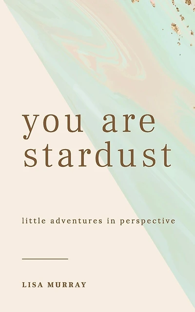 You are Stardust: Little Adventures in Perspective
