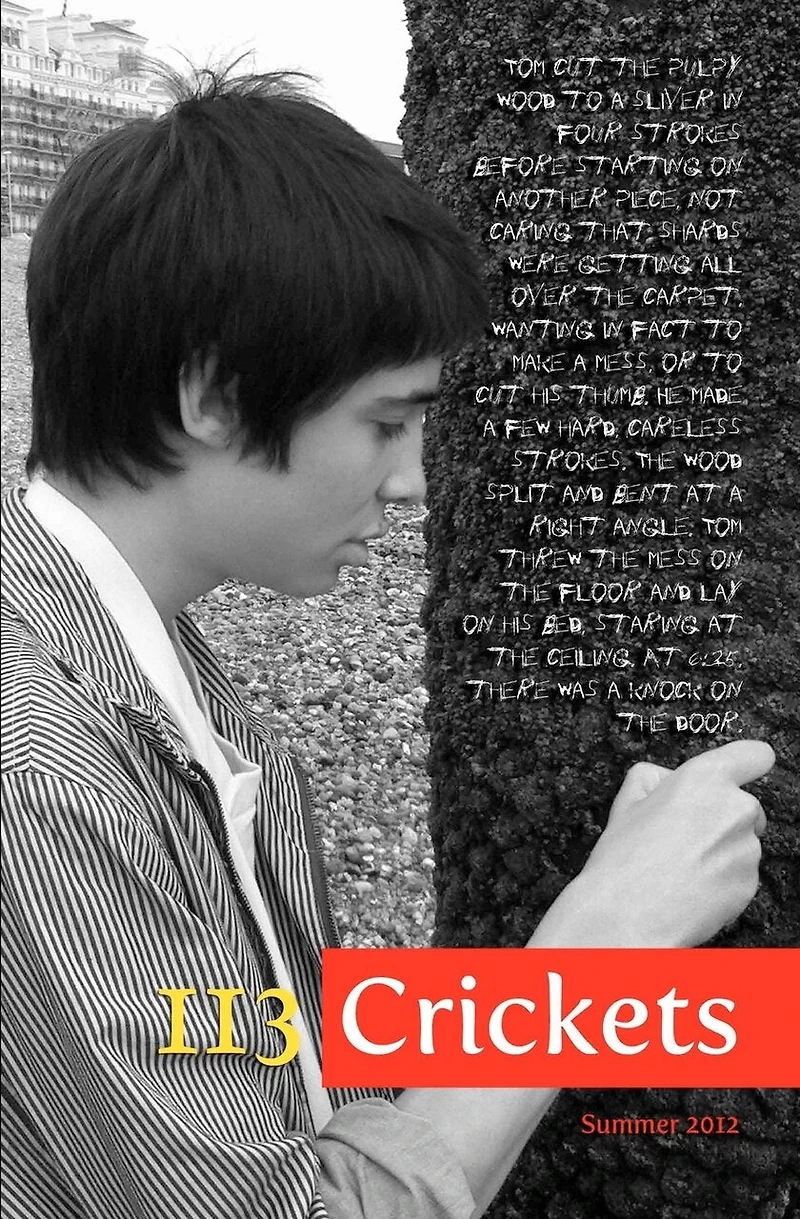 113 Crickets: Summer 2012