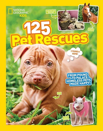 125 Pet Rescues: From Pound To Palace: Homeless Pets Made Happy