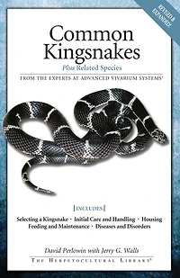 Common Kingsnakes