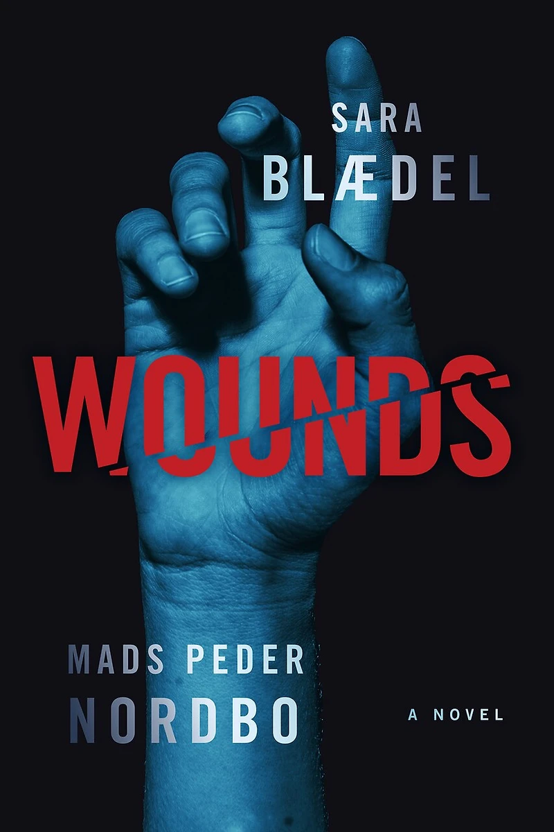 Wounds: A Novel