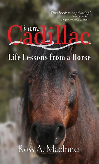 I am Cadillac: Life Lessons from a Horse