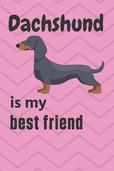 Dachshund is my best friend: For Dachshund Dog Fans